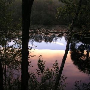 Meet your Posher, Judith